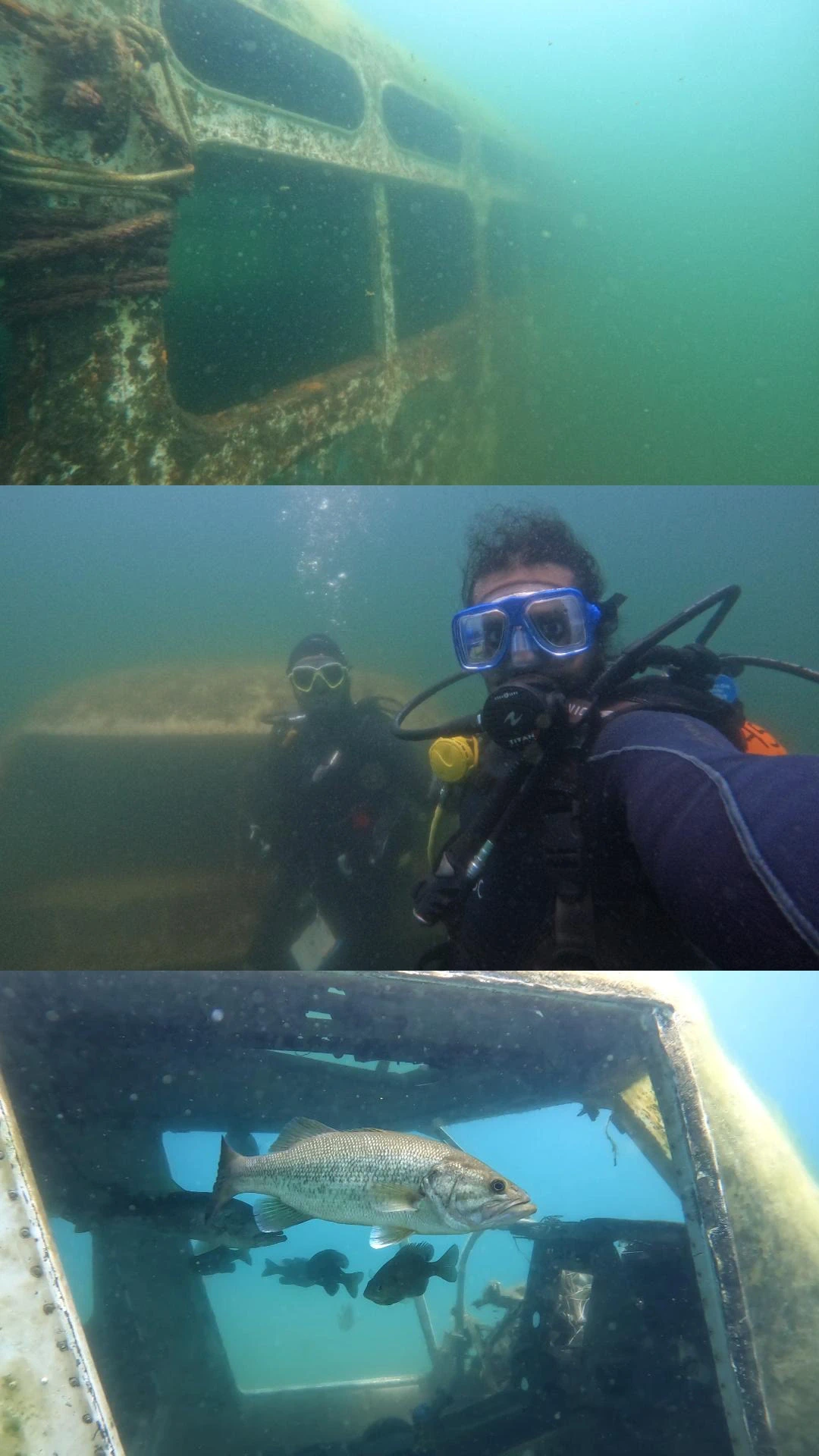 Three underwater photographs showing a submerged structure, two divers, and a large fish.
